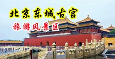 日本妓女被黑人巨屌轮奸的悲惨在线视频观看中国北京-东城古宫旅游风景区